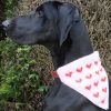 Thor modelling the heart motif kerchief